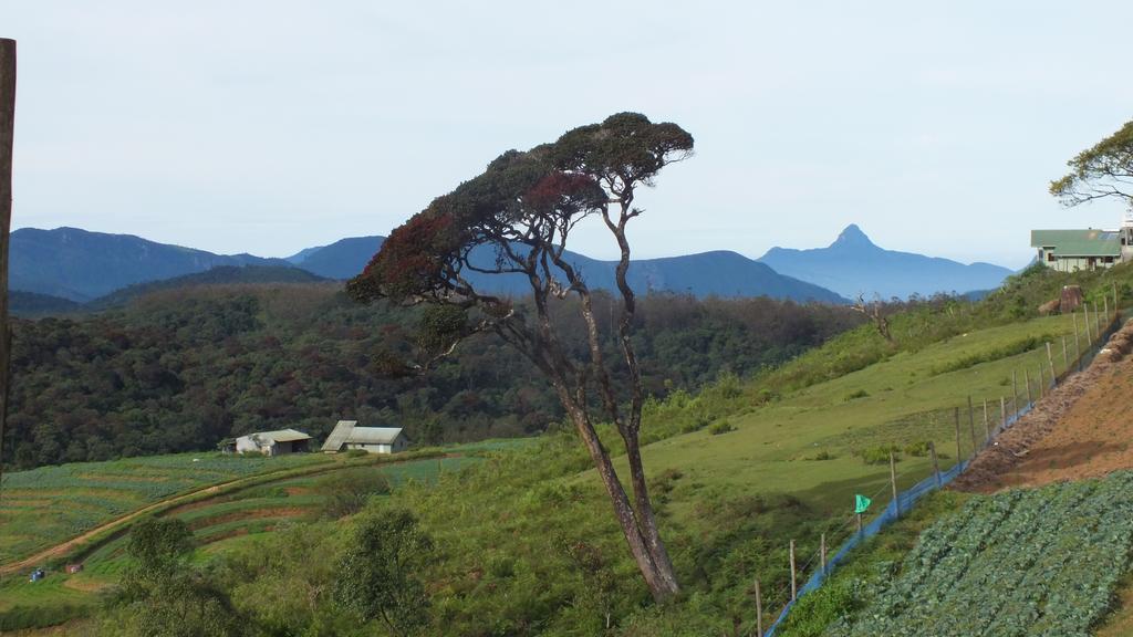 Lake View Holiday Resort Nuwara Eliya Exterior foto